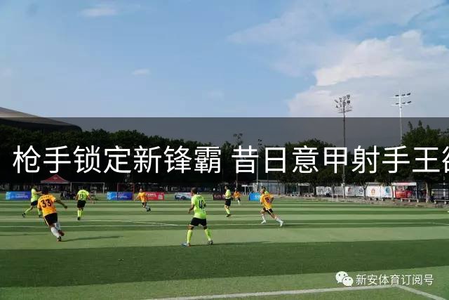 枪手锁定新锋霸 昔日意甲射手王欲加盟阿森纳