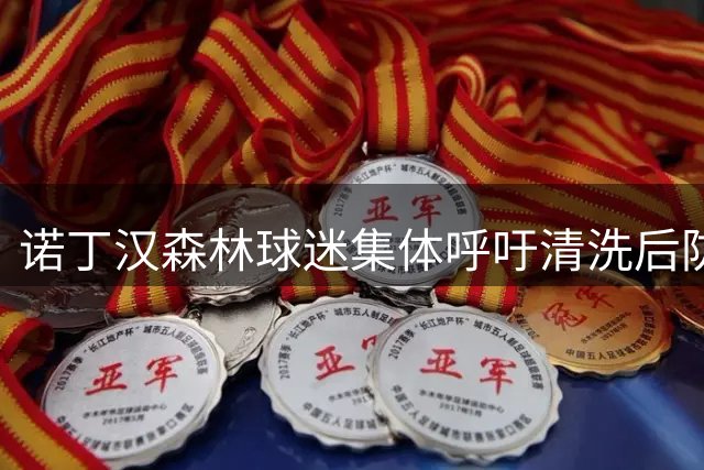 诺丁汉森林球迷集体呼吁清洗后防 拉什福德意外成引援目标